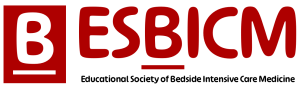 ESBICM logo with icon 2026